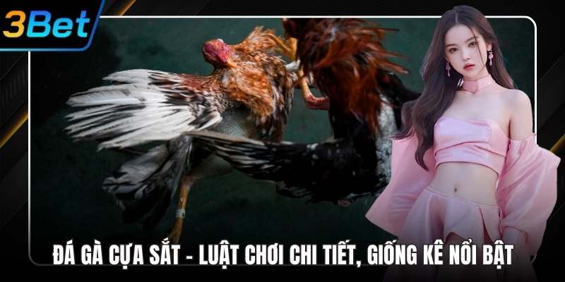 Đá gà cựa sắt