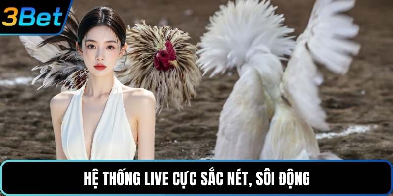 Hệ thống live cực sắc nét, sôi động