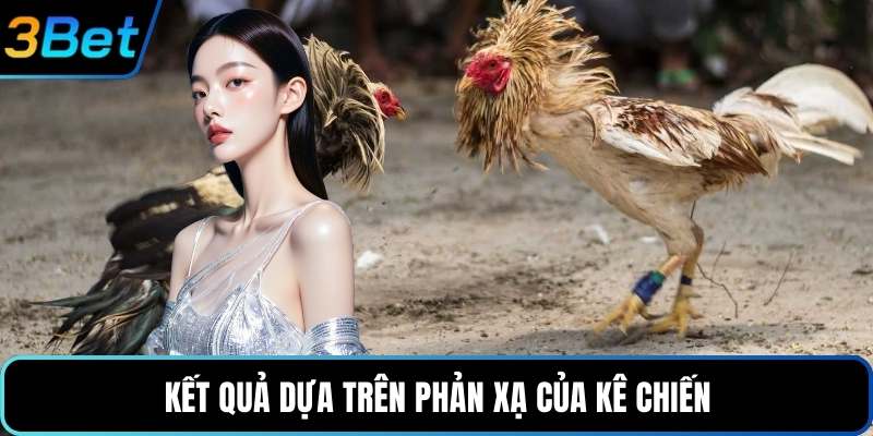 Kết quả dựa trên phản xạ của kê chiến