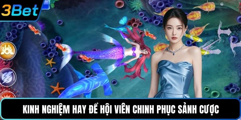 Kinh nghiệm hay để hội viên chinh phục sảnh cược