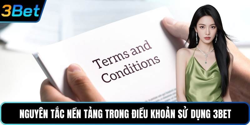 Nguyên tắc nền tảng trong điều khoản sử dụng 3Bet
