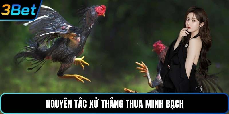 Nguyên tắc xử thắng thua minh bạch