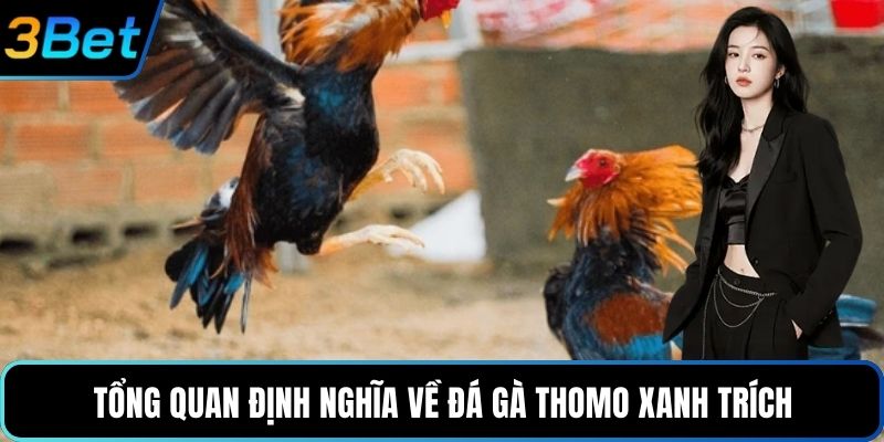 Tổng quan định nghĩa về đá gà Thomo xanh trích